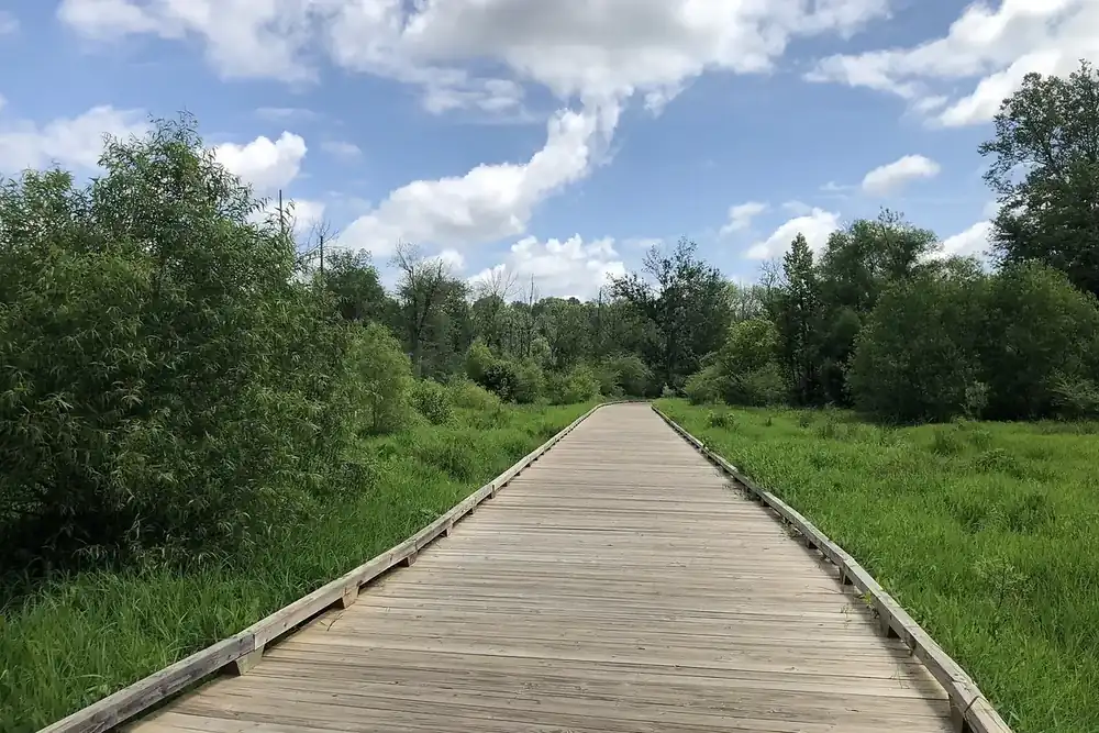 Wooden boardwalk crossing a green meadow at George Pierce Park in Suwanee, Georgia